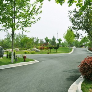 河南福寿园小路风景